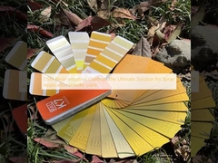 DSM الراتنج الطلاء الصناعي الحل النهائي للرذاذ تطبيق مسحوق الطلاء